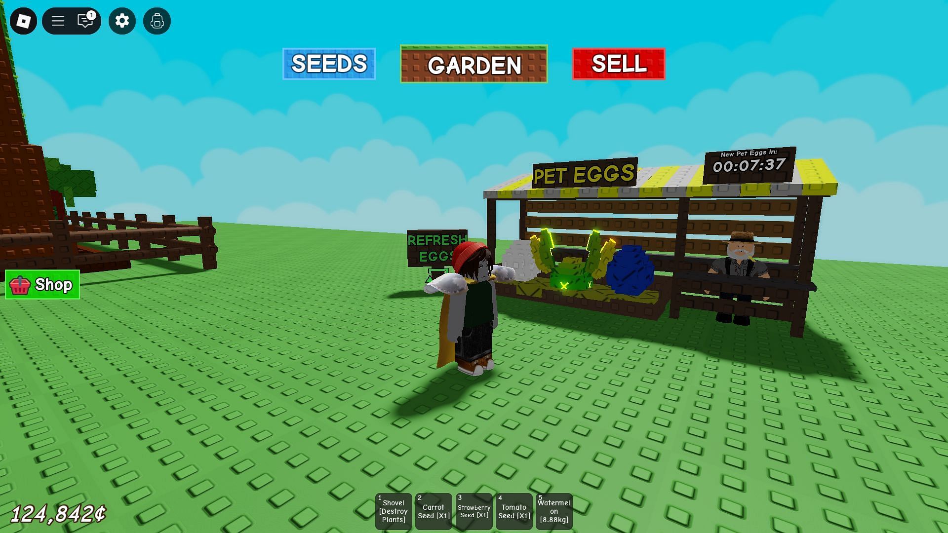 The Egg Shop (Image via Roblox)